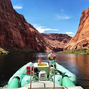 Meet your Posher, Clinton